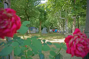 Villaggio Camping Delle Rose - Camping Stellplaetze im Schatten der Bäume