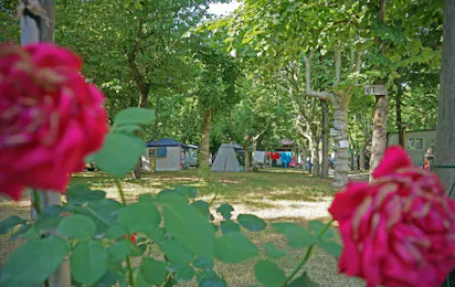 Villaggio Camping Delle Rose