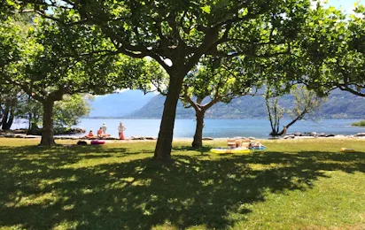 Camping Delta
