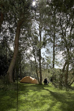 Camping Demesne Farm