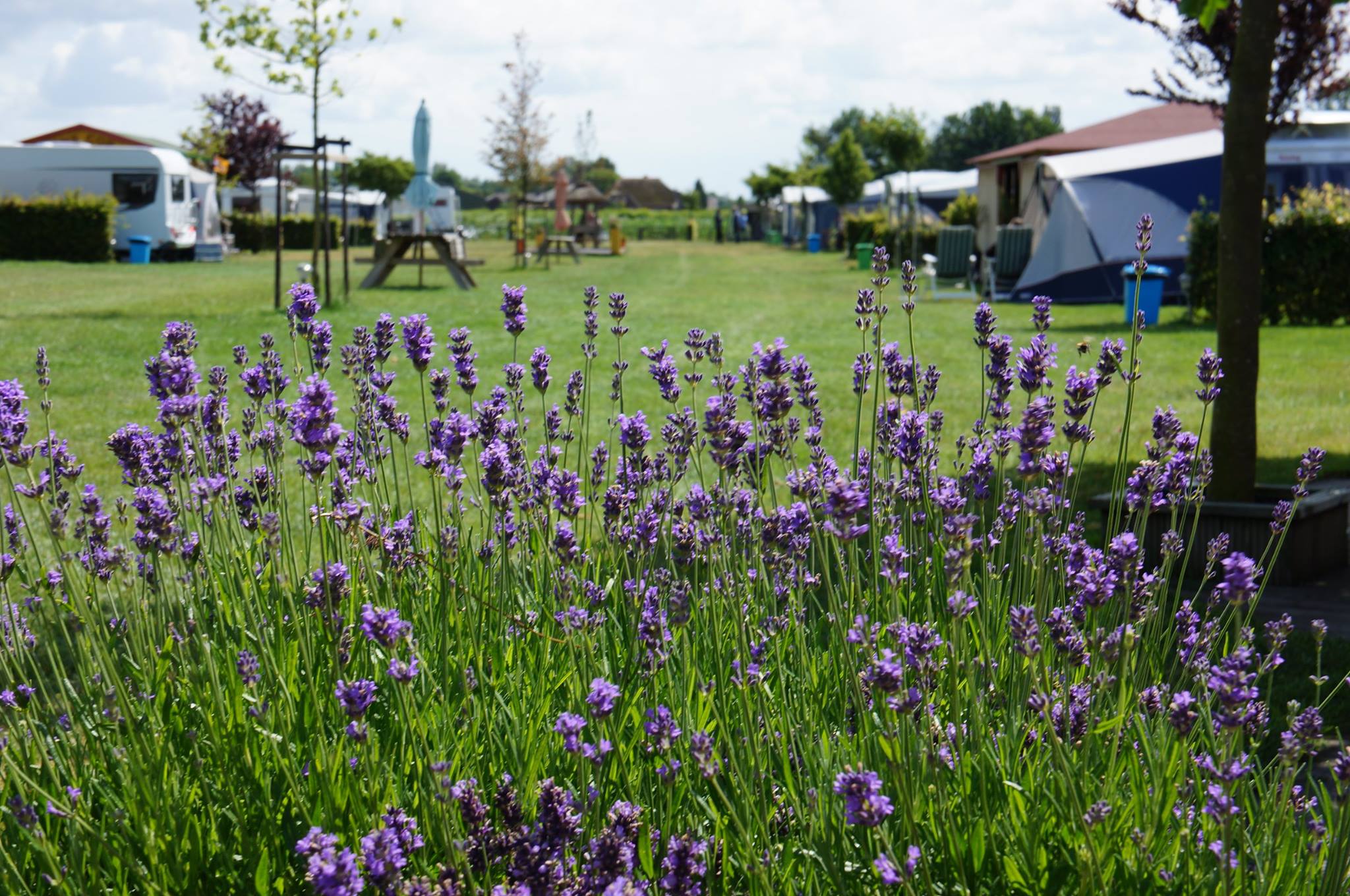 Camping Den Hoogen Berg