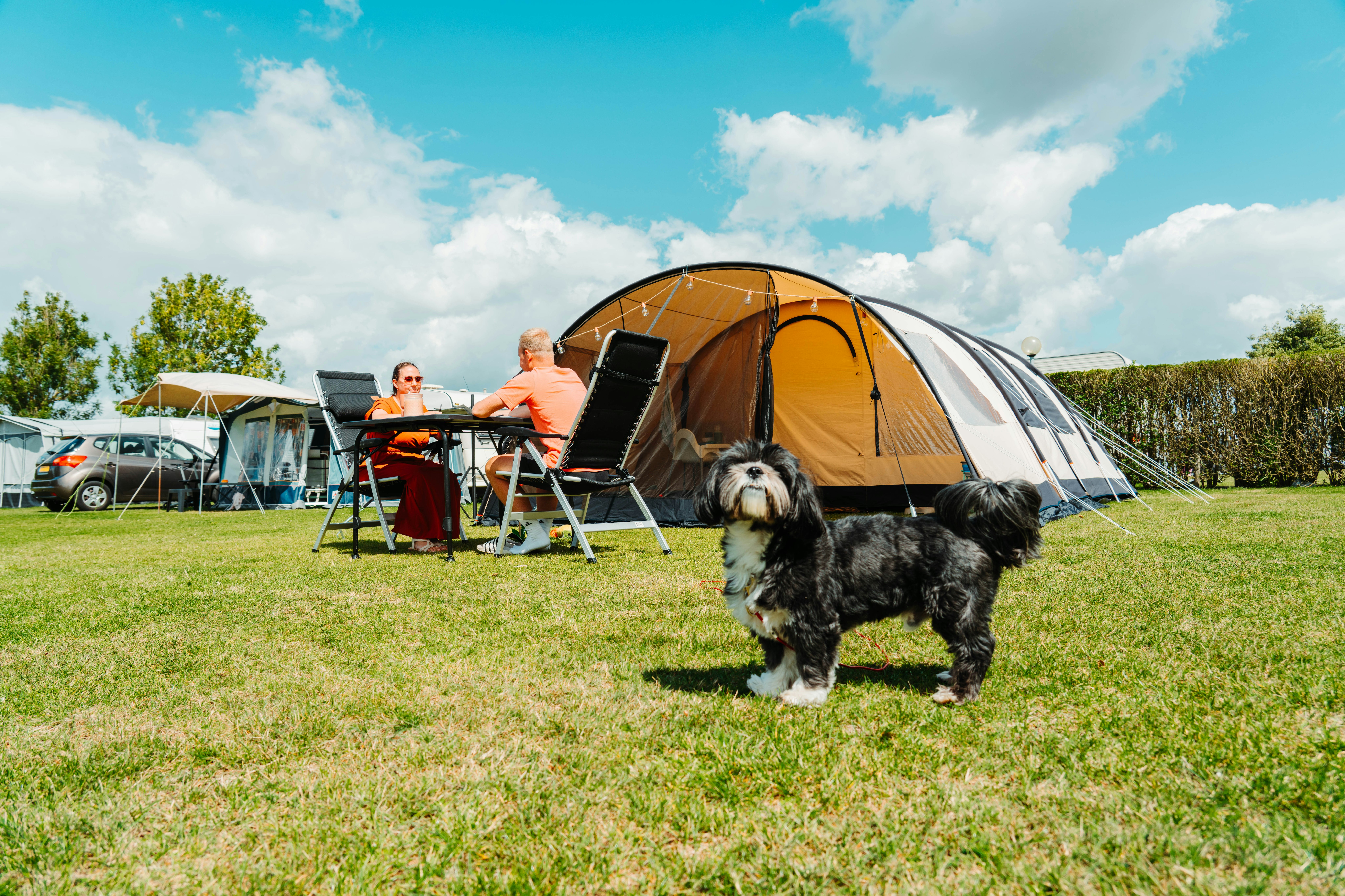 Camping Den Molinshoeve - Familie mit Hund auf der Standplatzwiese