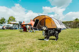 Camping Den Molinshoeve - Familie mit Hund auf der Standplatzwiese