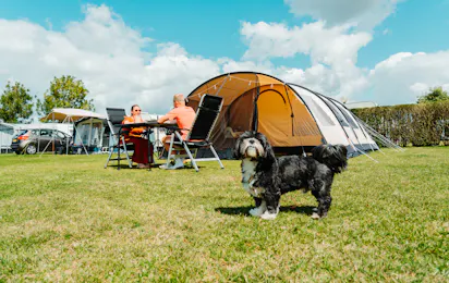 Camping Den Molinshoeve