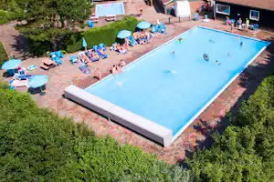 Camping Den Osse - Pool im Freien mit Liegestühlen und Sonnenschirmen
