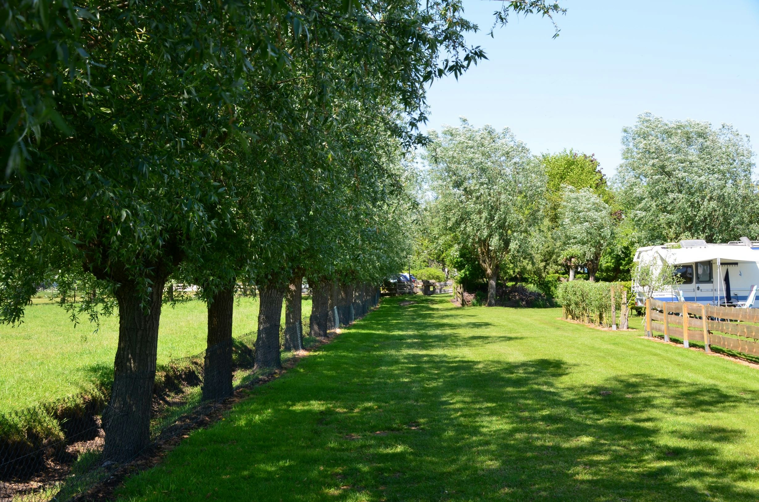 Camping DenTiel - Stellplätze auf der Wiese