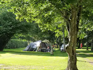 Zelt auf einem Campingplatz im Grünen unter großen Bäumen, mit Rasenfläche, Sitzbank und einem geparkten Auto.