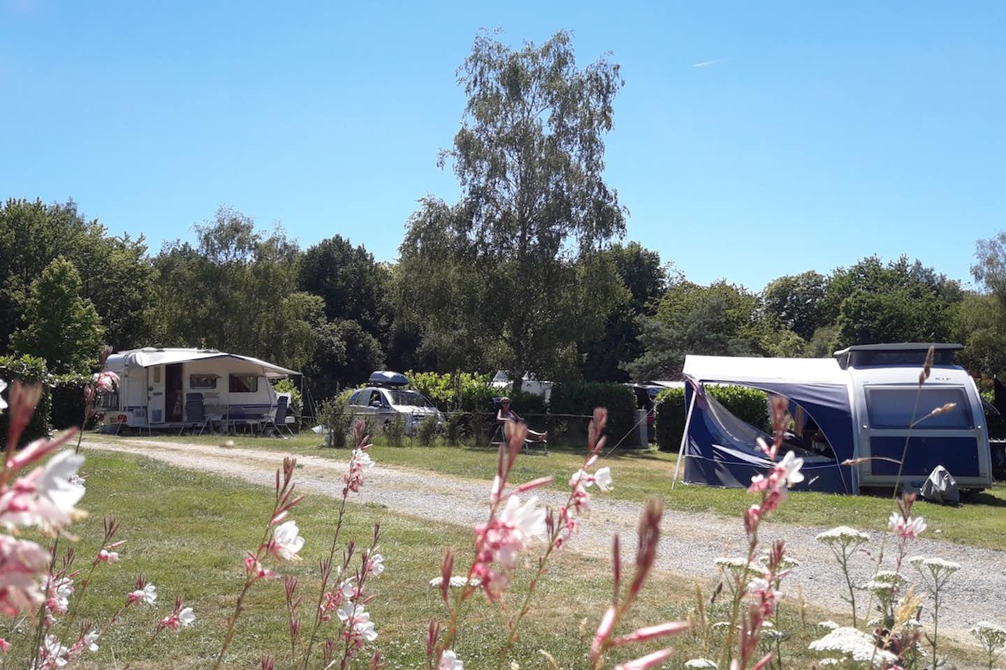Camping des Alouettes - Strasse des Campingplatzes mit Stellplätzen an den Seiten