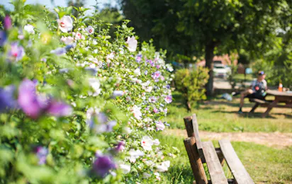 Camping des Barolles