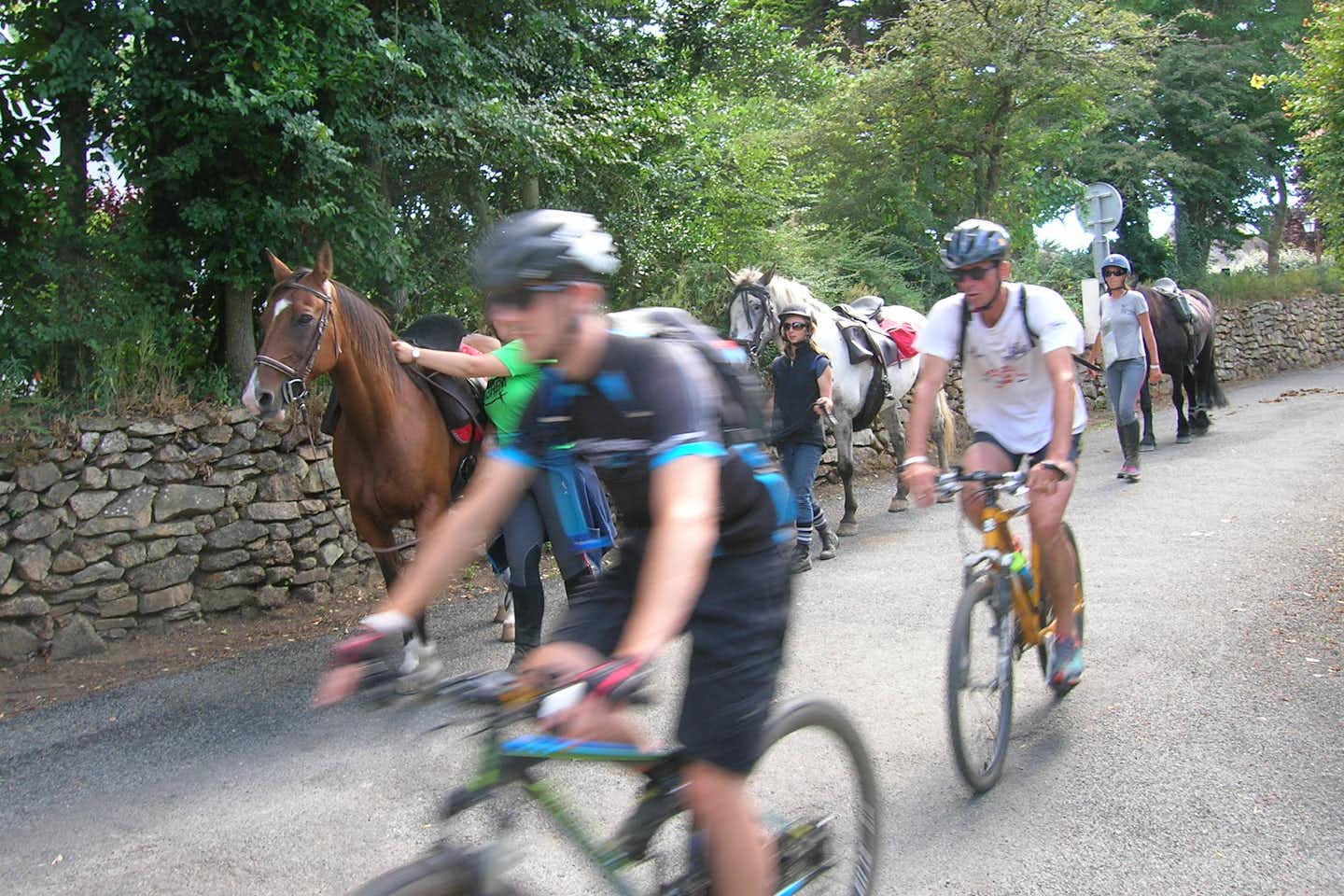 Camping Des Chaumières -  Fahrrad Fahrer und Pferde 