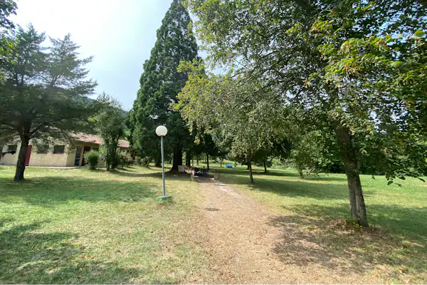 Camping des deux séquoias
