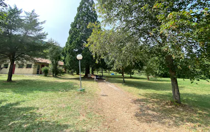 Camping des deux séquoias