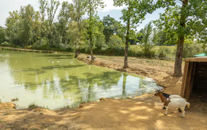 Camping des Etangs