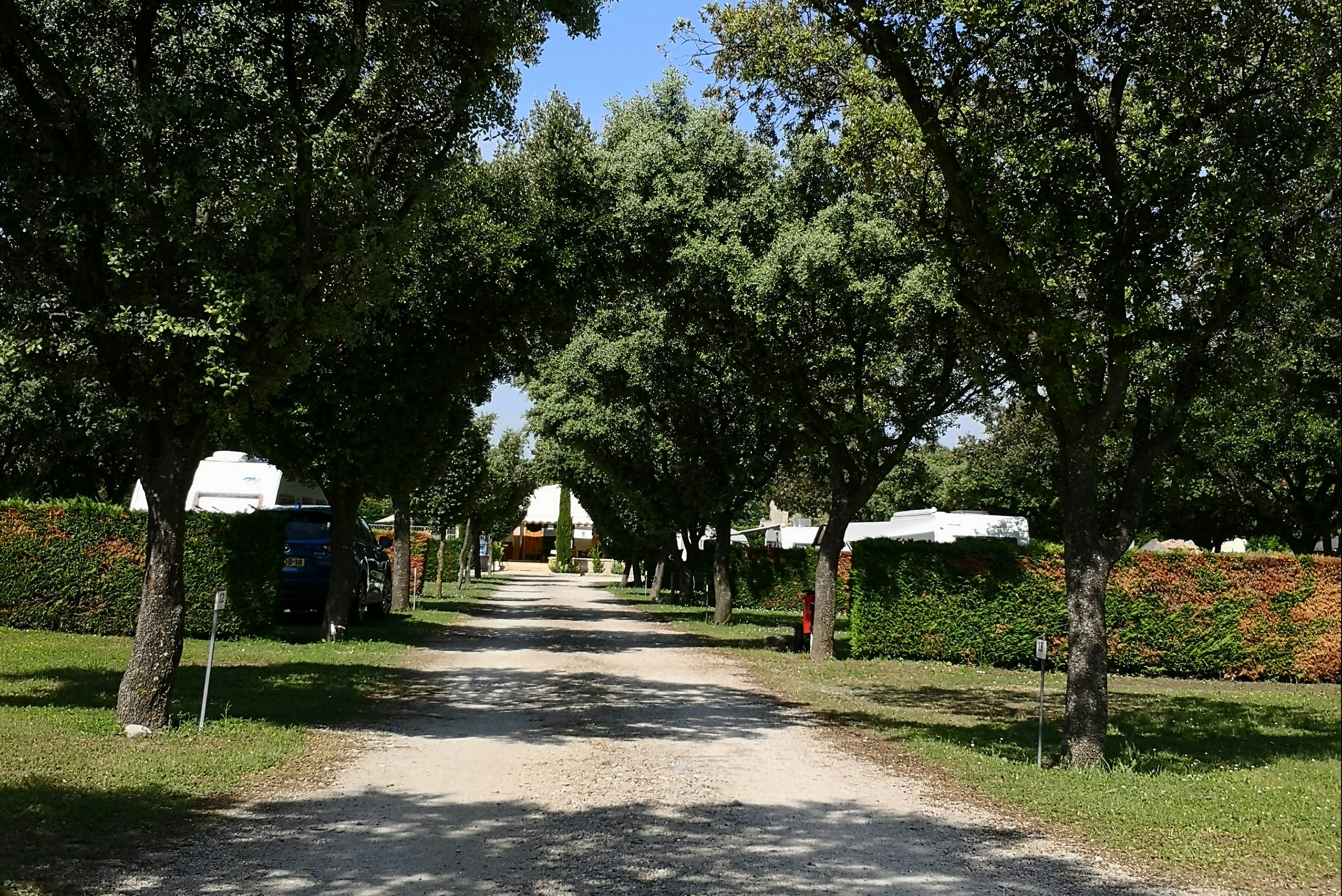 Camping Des Favards - Standplätze zwischen den Bäumen auf dem Campingplatz