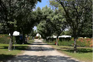 Camping Des Favards - Standplätze zwischen den Bäumen auf dem Campingplatz