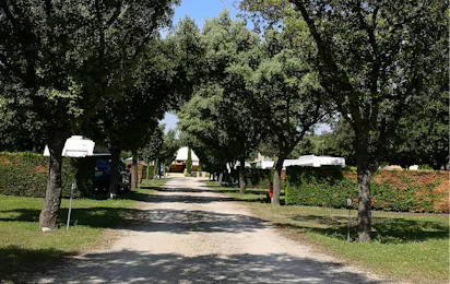 Camping Des Favards