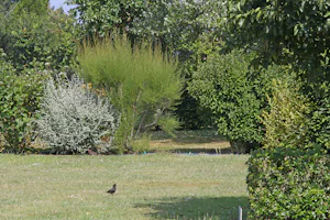 Camping Des Hautes Grées - Wohnwagenstellplätze im Grünen auf dem Campingplatz