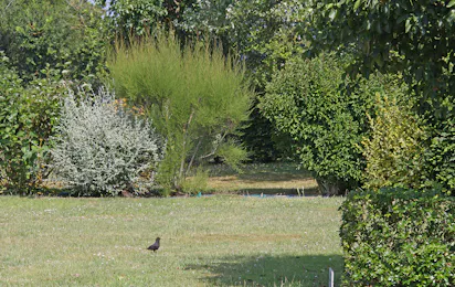 Camping Des Hautes Grées
