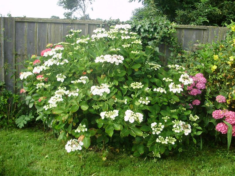 Camping Des Pommiers