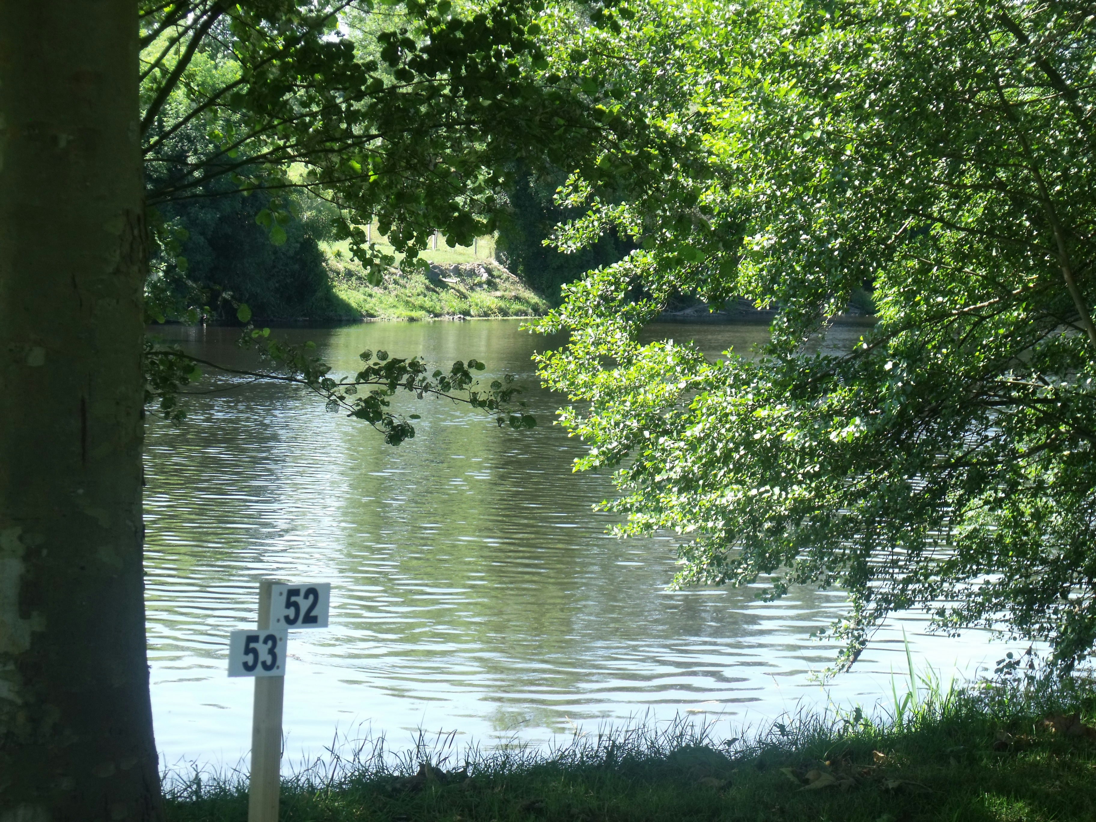 Ruhiger See mit Uferböschung und Schildern am Wasser, umgeben von Bäumen und dichtem Grün.