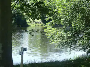 Ruhiger See mit Uferböschung und Schildern am Wasser, umgeben von Bäumen und dichtem Grün.