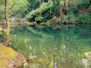 Camping des Sources