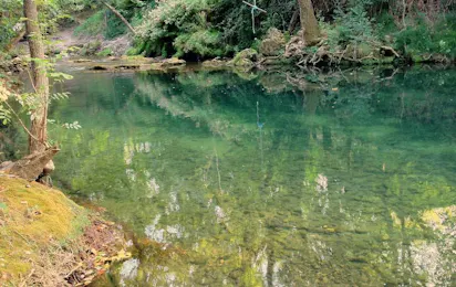 Camping des Sources