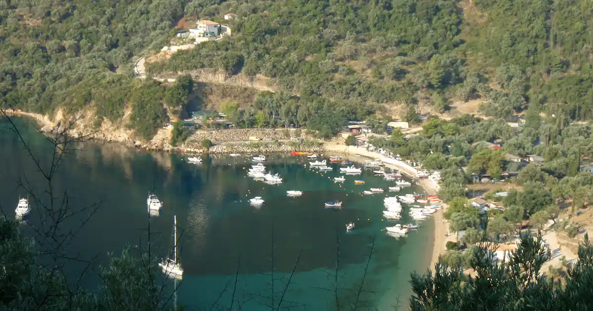 Camping Dessimi Beach photo 3