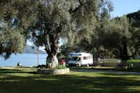 Camping Dessimi Beach - schattiger Wohnmobilstellplatz am Meer auf dem Campingplatz 