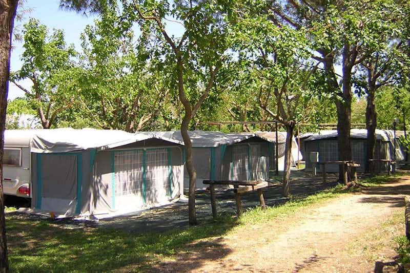 Camping di Capalbio - Wohnwagen auf den Stellplätzen unter Bäumen
