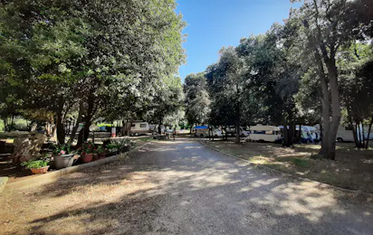 Camp Diana