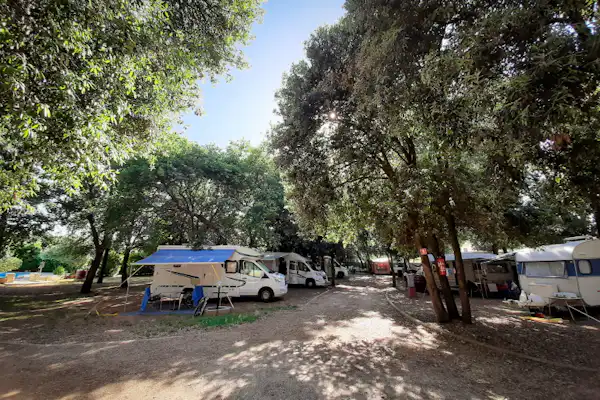 Camp Diana