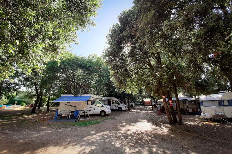 Camping Diana - Wohnmobil- und  Wohnwagenstellplätze im Schatten der Bäume