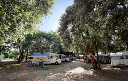 Camp Diana