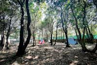 Camping Diana - Zeltplätze im Schatten
