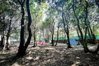 Camping Diana - Zeltplätze im Schatten