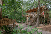 Camping Diever - Baumhaus auf dem Campingplatz