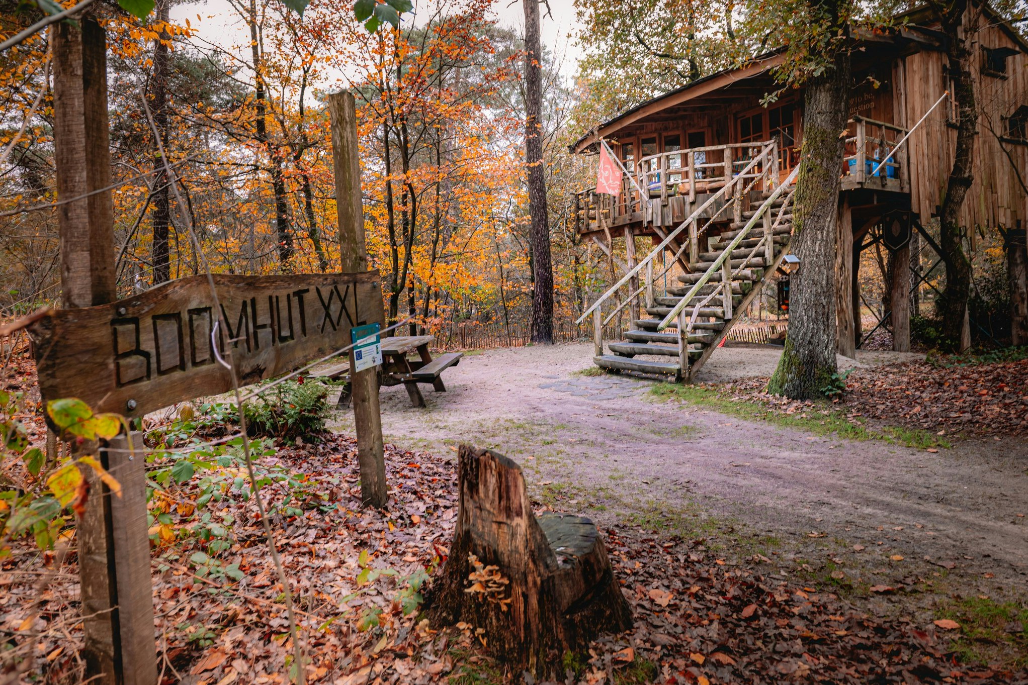 Camping Diever - Blick auf den Campingplatz im Herbst