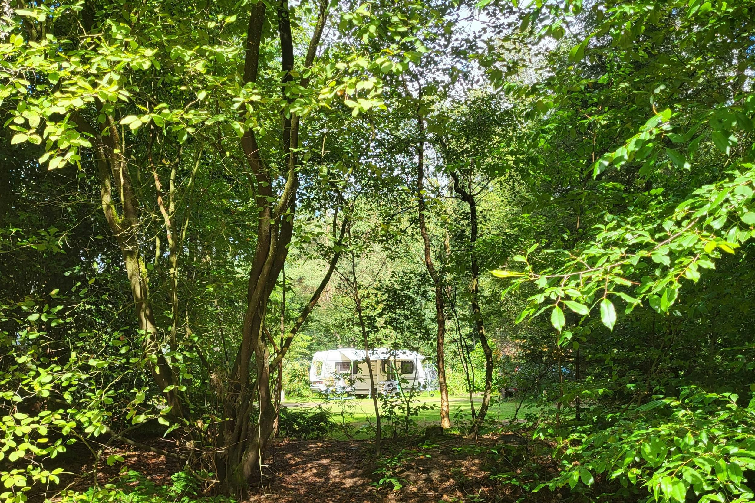 Camping Diever - Standplätze im Grünen auf dem Campingplatz