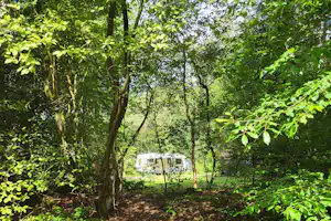 Camping Diever - Standplätze im Grünen auf dem Campingplatz