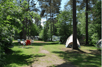Camping Diever - Wohnmobil- und  Wohnwagenstellplätze im Grünen