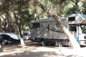 Wohnmobil Phoenix im Campingplatz, zwischen Bäumen geparkt, mit weiteren Fahrzeugen im Hintergrund.