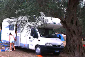 Wohnmobil auf dem Campingplatz, vor dem Eingang ein Tisch und Stühle, umgeben von Bäumen und Grün.