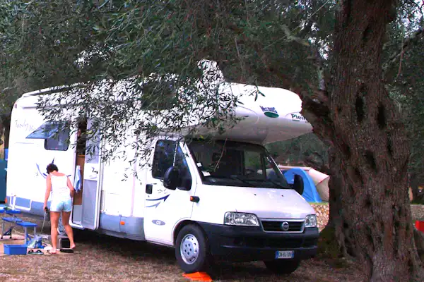 Camping Dionysus