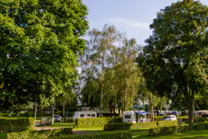 Campingplatz mit Wohnwagen und mehreren Autos, umgeben von hohen Bäumen und gepflegtem Rasen.