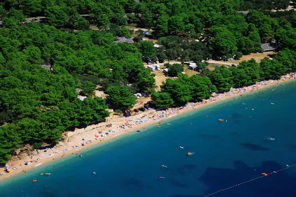 Camp Dole