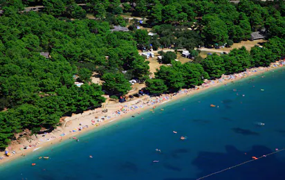 Camp Dole