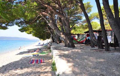 Camp Dole