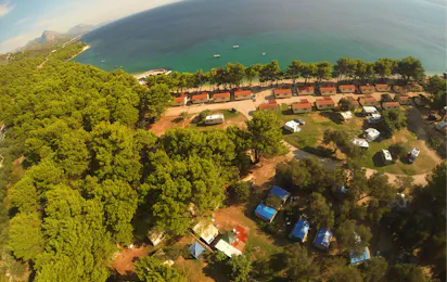 Camp Dole