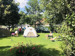 Camping de la Doller - Zeltplätze auf der Wiese auf dem Campingplatz